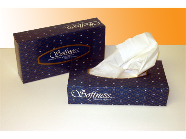 T2930 2 PLY White Facial Tissue